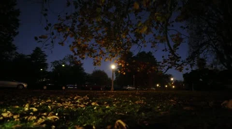 Hyatt park Stock Footage 12158528