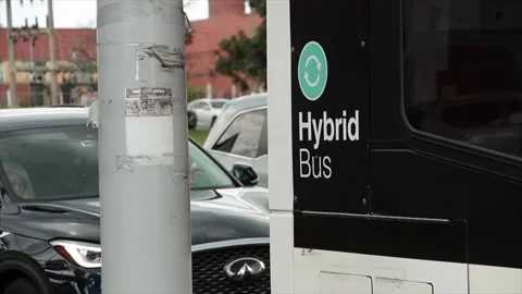 Hybrid bus writing text caption words printed on bus stopped at light, white Stock Footage 247753485