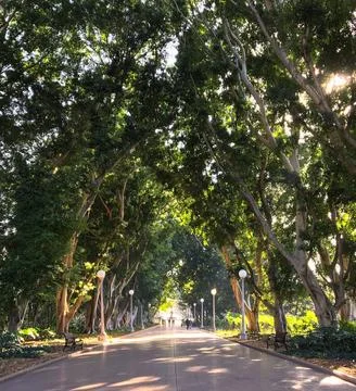 Hyde Park Perspective View Foto stock