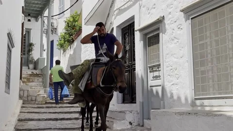 Hydra, Greece - May 2022: donkeys the means of transport at Hydra island Saronic Stock Footage 203915768