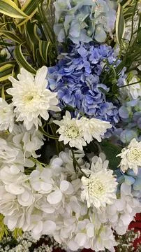 Hydrangea and Daisy Flower Bunch Bouquet Closeup 스톡 사진