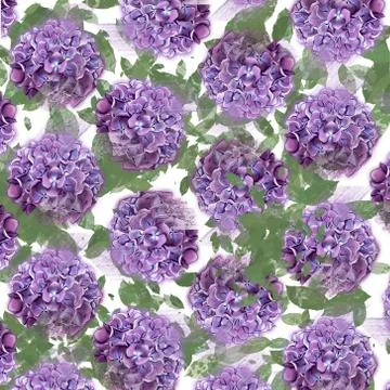 Hydrangea and leaves, can be used as greeting cards. Stock Illustration