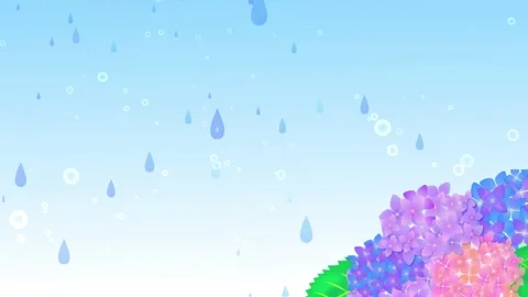 Hydrangea and rain sky background animation Stock Footage 169558440