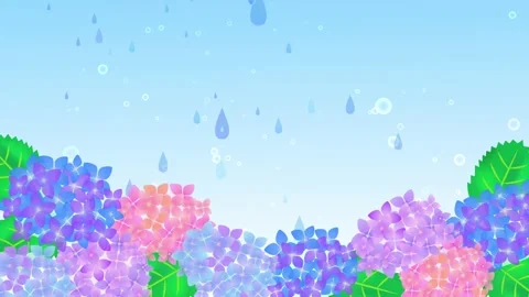 Hydrangea and rain sky background animation Stock Footage 169558460