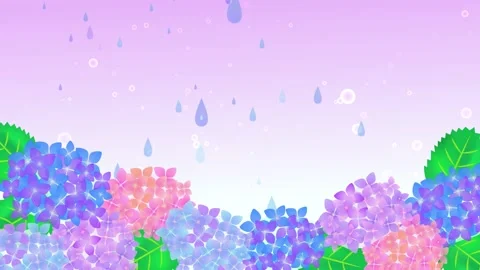 Hydrangea and rain sky background animation Stock Footage 169558462