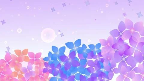 Hydrangea and rain sky background animation Stock Footage 169558465