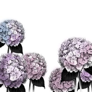 Hydrangea border in pink colors. Hand drawn artistic background Stock Illustration