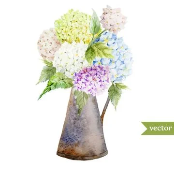 Hydrangea bouquet Stock Illustration