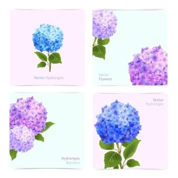 Hydrangea Cards Set Illustrazione stock