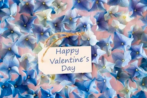 Hydrangea Flat Lay, Text Happy Valentines Day Stock Photos