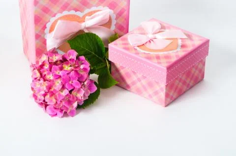 Hydrangea flower and gift box Stock Photos
