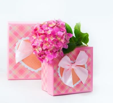 Hydrangea flower and gift box Stock Photos