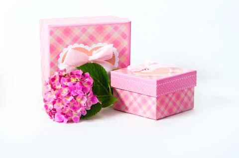 Hydrangea flower and gift box Stock Photos