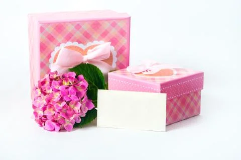 Hydrangea flower and gift box Stock Photos