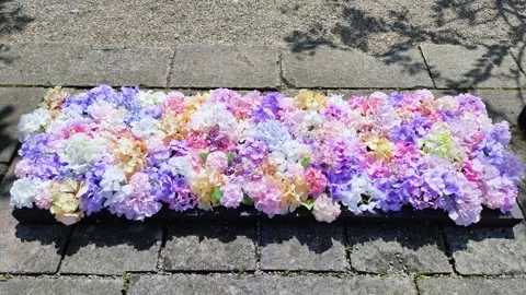 Hydrangea flower arrangement in a garden Video stock 308835557