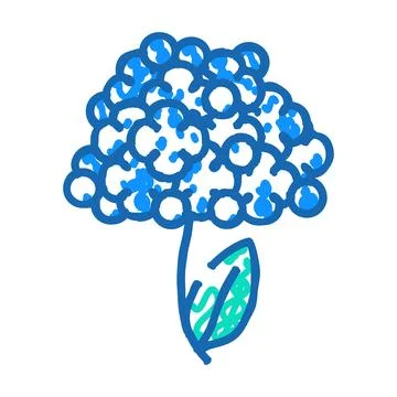 Hydrangea flower icon doodle illustration Stock Illustration