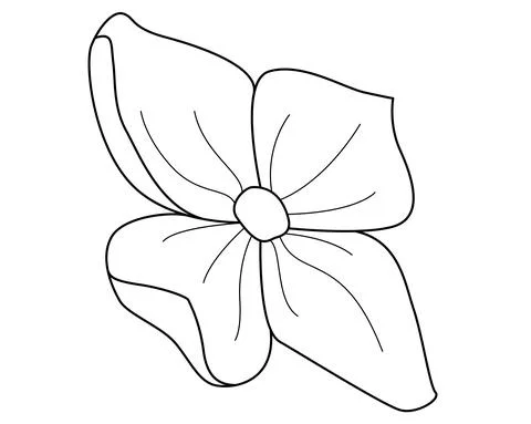 Hydrangea flower, one flower from the inflorescence of a plant - a vector linear Stock Illustration