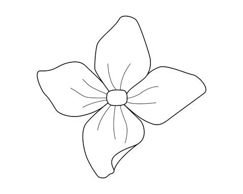 Hydrangea flower, one flower from inflorescence - vector linear picture Stock Illustration