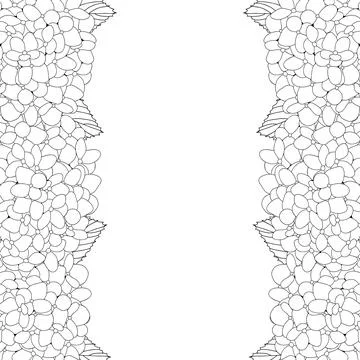 Hydrangea Flower Outline Border Stock Illustration