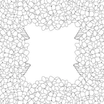 Hydrangea Flower Outline Border2 Stock Illustration