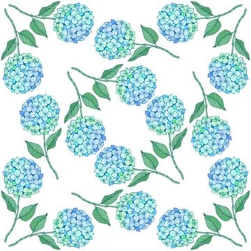 Hydrangea flower seamless pattern. Blue green petals, stem and leaves on white Stock Illustration