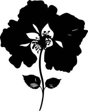 Hydrangea Flower Silhouette Vector Illustration White Background Stock Illustration