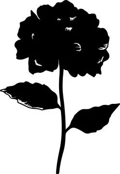 Hydrangea Flower Silhouette Vector Illustration White Background Stock Illustration