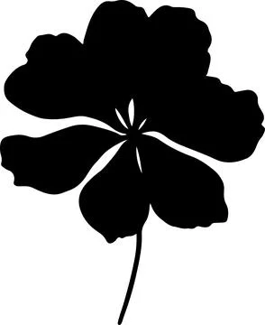 Hydrangea Flower Silhouette Vector Illustration White Background Stock Illustration