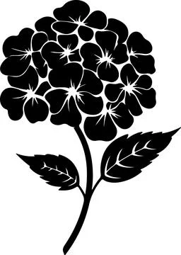 Hydrangea Flower Silhouette Vector Illustration White Background Stock Illustration