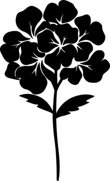 Hydrangea Flower Silhouette Vector Illustration White Background Illustrazione stock