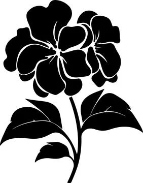 Hydrangea Flower Silhouette Vector Illustration White Background Stock Illustration