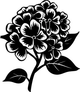 Hydrangea Flower Silhouette Vector Illustration White Background Stock Illustration