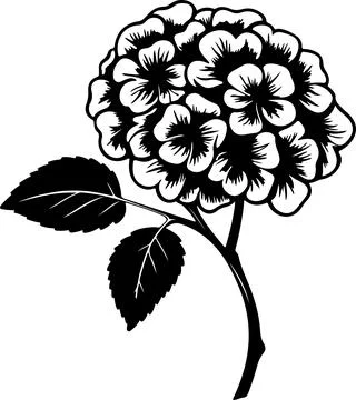 Hydrangea Flower Silhouette Vector Illustration White Background Illustrazione stock