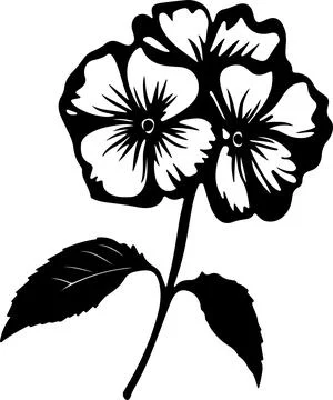 Hydrangea Flower Silhouette Vector Illustration White Background Stock Illustration
