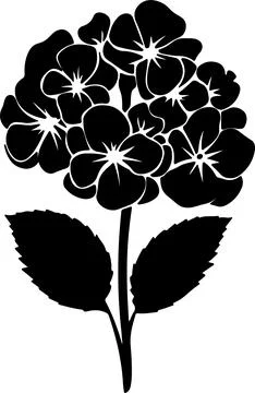 Hydrangea Flower Silhouette Vector Illustration White Background Illustrazione stock