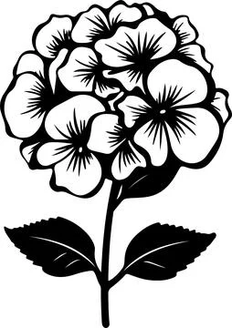 Hydrangea Flower Silhouette Vector Illustration White Background Stock Illustration