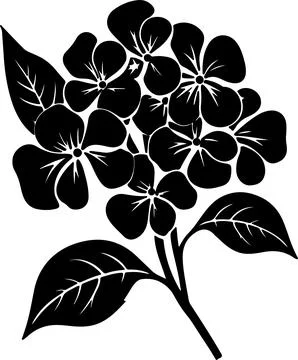Hydrangea Flower Silhouette Vector Illustration White Background Stock Illustration