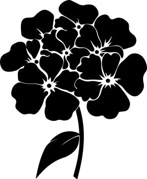 Hydrangea Flower Silhouette Vector Illustration White Background Stock Illustration