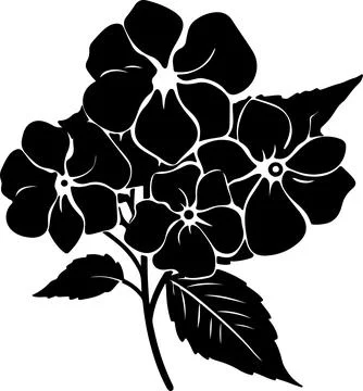 Hydrangea Flower Silhouette Vector Illustration White Background Stock Illustration