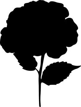 Hydrangea Flower Silhouette Vector Illustration White Background Иллюстрация