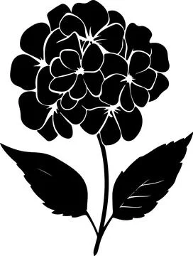 Hydrangea Flower Silhouette Vector Illustration White Background Stock Illustration