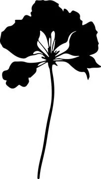 Hydrangea Flower Silhouette Vector Illustration White Background Illustrazione stock