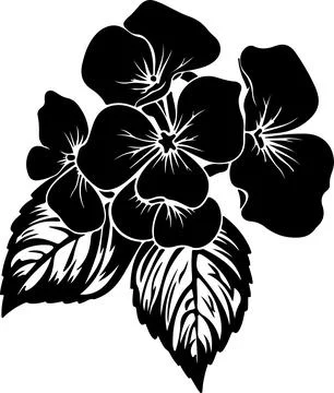 Hydrangea Flower Silhouette Vector Illustration White Background Stock Illustration