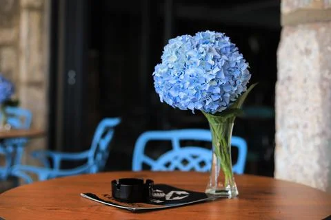 Hydrangea flower in the vase on the table Stock Photos