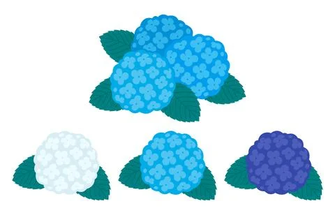 Hydrangea flower vector illustration set Illustrazione stock