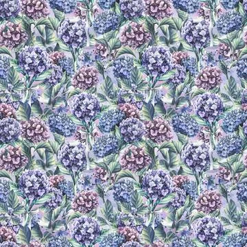 Hydrangea flowers are blue, lilac and pink, bouquets with a satin ribbon and a Stock Illustration