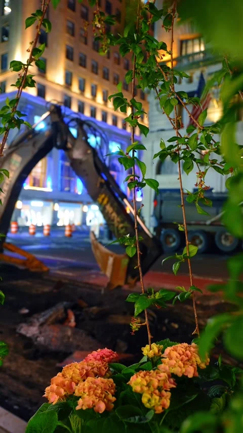 Hydrangea flowers framing an excavator on a night street, Manhattan. Shallow Stock Footage 336806971