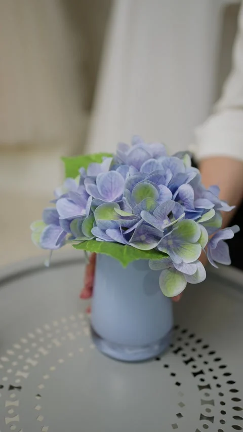 Hydrangea flowers in soft blue vase. Concept of houseplant. Stock Footage 280543642