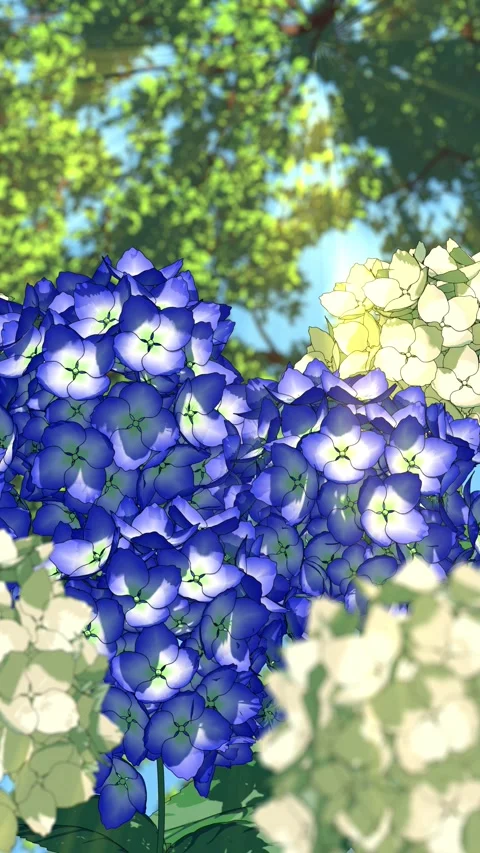 Hydrangea Flowers in Warm Sunlight - Peaceful Floral Loop vertical 4K Stock Footage 334839934