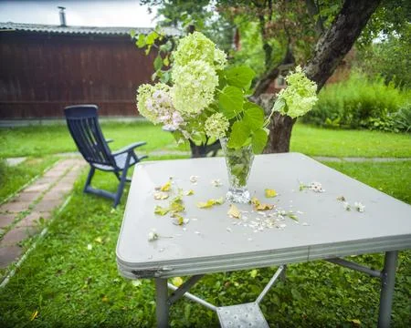 Hydrangea on a garden table Photos